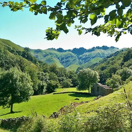 Pidream . De Pisueña Selaya