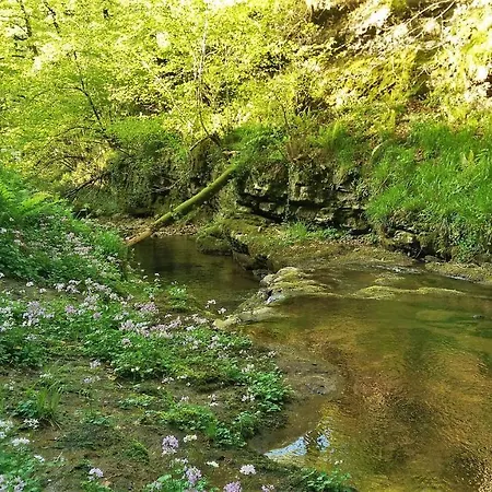 Chalet Pidream . De Pisuena Selaya