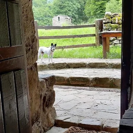 Pidream . De Pisuena Selaya