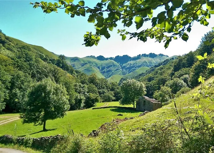 Pidream . De Pisuena Selaya