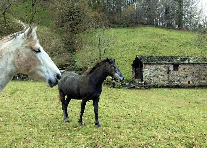 샬레 Pidream . De Pisuena Selaya