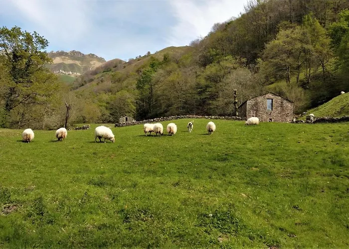 Pidream . De Pisuena