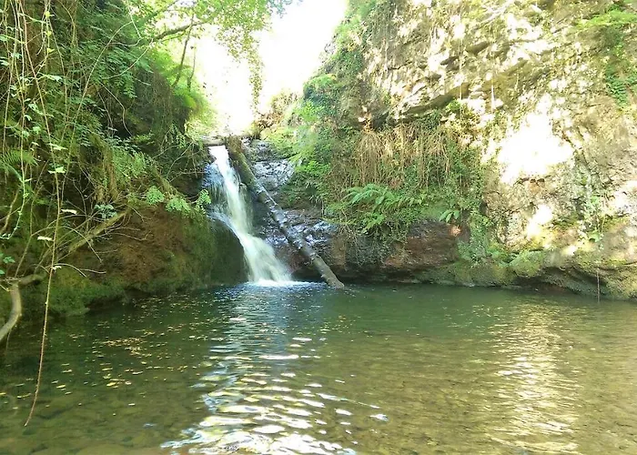 Pidream . De Pisuena