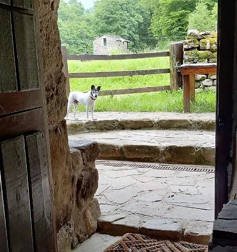 Pidream . De Pisuena Selaya